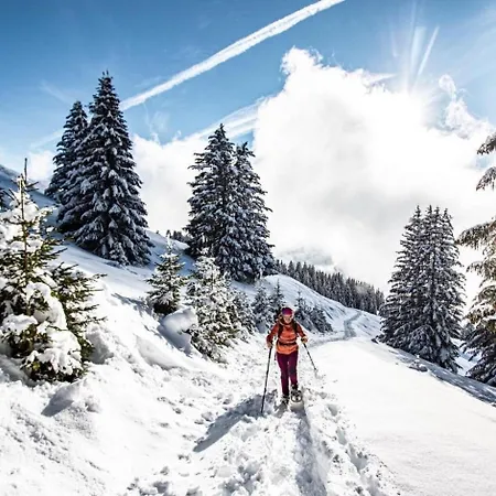 Apartment Mont De Grange Mga4 Nature & Escape 6 Pers Chatel